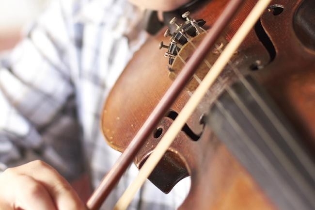 Detailansicht einer Violine (Foto:Daisy Daisy / shutterstock.com)
